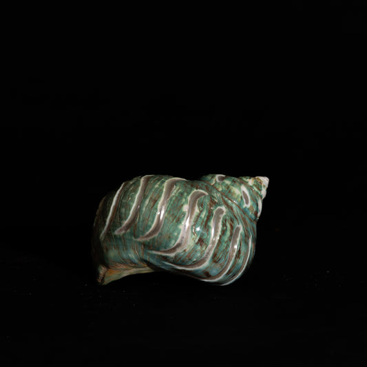 Jade Turbo- Carved(Pol)